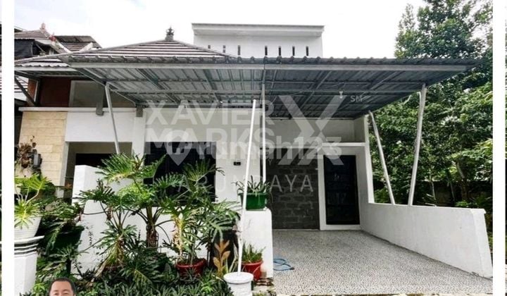 Rumah Sewa Minimalis Lokasi Daerah Patrang Cocok Untuk Hunian
