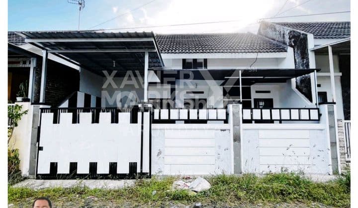 Rumah Sewa Siap Huni Daerah Sumbersari Cocok Buat Hunian
