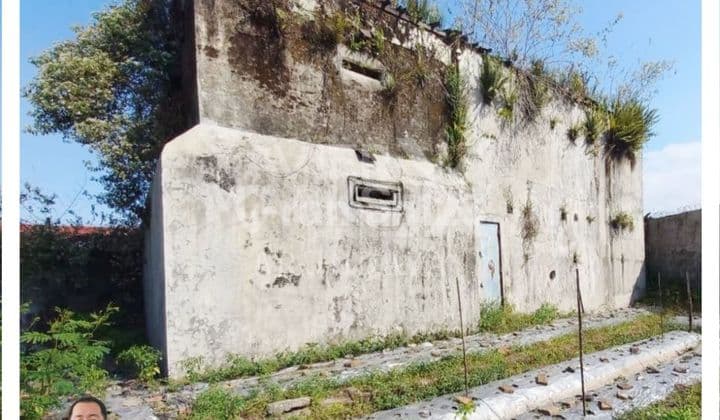 Rumah Sarang Burung Hitung Tanah Daerah Mayang Cocok Buat Investasi