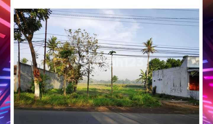 TANAH MURAH STRATEGIS PINGGIR JALAN UTAMA DAERAH JENGGAWAH