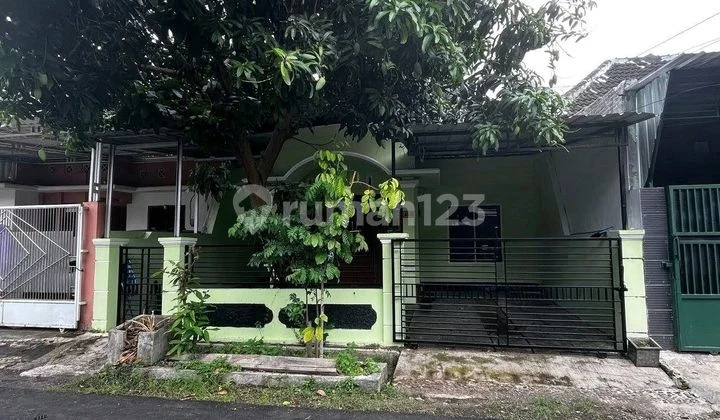 Semi-Furnished House for Rent Near Subandi Patrang Hospital. Ready to Occupy Semi-Furnished House for Rent Near Subandi Patrang Hospital. Ready to Occupy