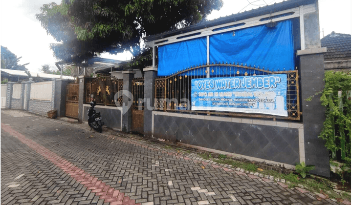 Dijual Rumah Mewah + Kos Kosan Putri Dekat Lippo Mall dan Rs Bina Sehat Jember