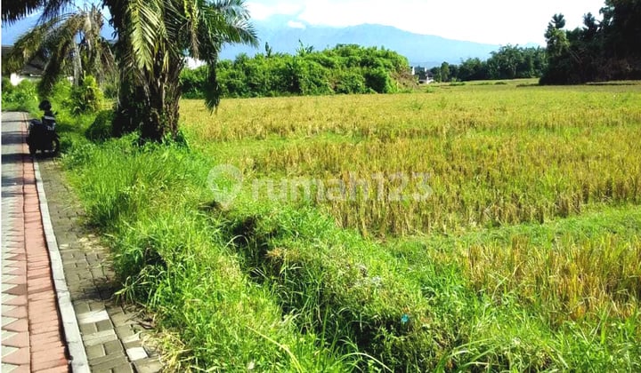 Dijual Tanah Luas Tengah Kota Dalam Perumahan Cocok Dijadikan Cluster