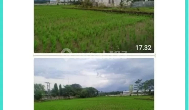 For Sale Large Land by Provincial Road For Sale Large Land by Provincial Road