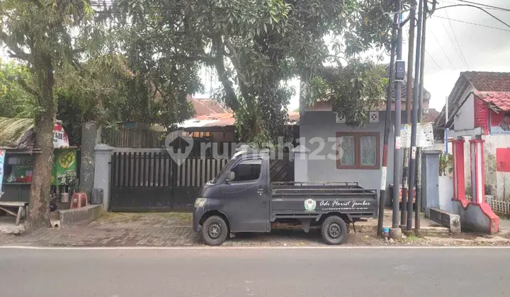 Dijual Rumah Pinggir Jalan Hitung Tanah Saja Dekat Rs Paru Paru Jember