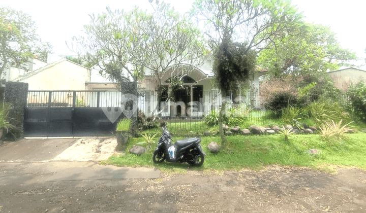 Disewakan RUmah Cantik Halaman Luas Siap HUni Dekat Transmart