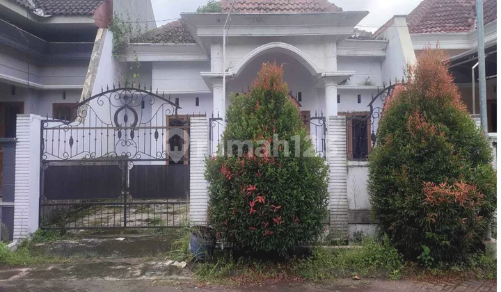 For Rent: Beautiful Move-in Ready House Near Soebandy Hospital Jember For Rent: Beautiful Move-in Ready House Near Soebandy Hospital Jember