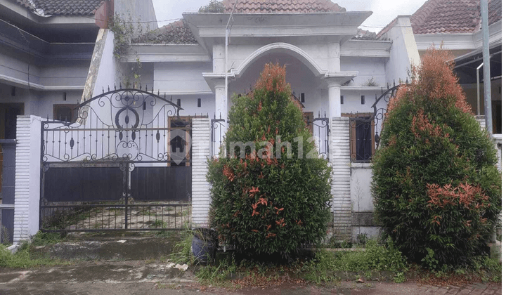Disewakan Rumah Cantik Siap Huni Dekat Rs Soebandy Jember