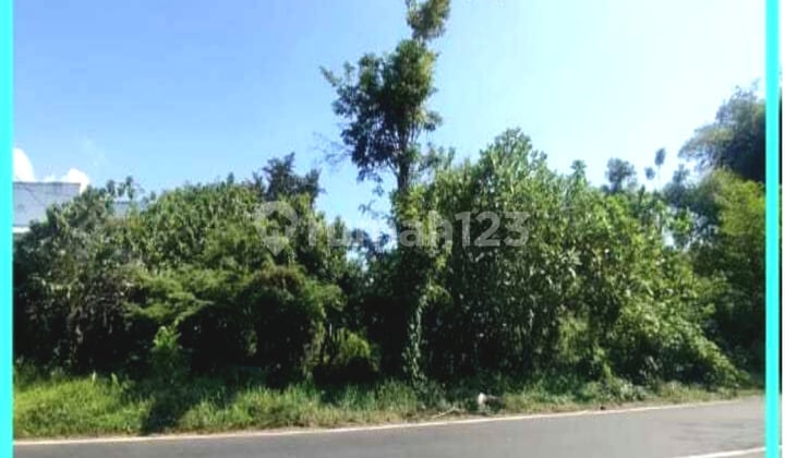 Dijual Tanah Luas Pinggir Jalan Area Perkomplekan Pergudangan