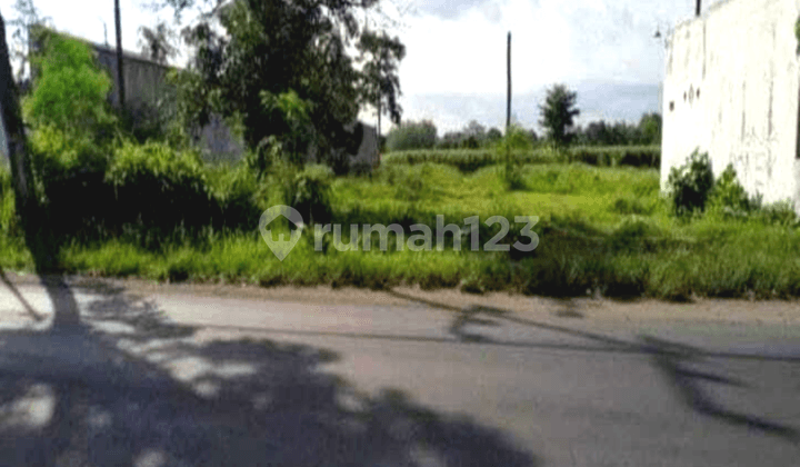 DIjual Tanah Luas Pinggir Jalan Cocok untuk Usaha