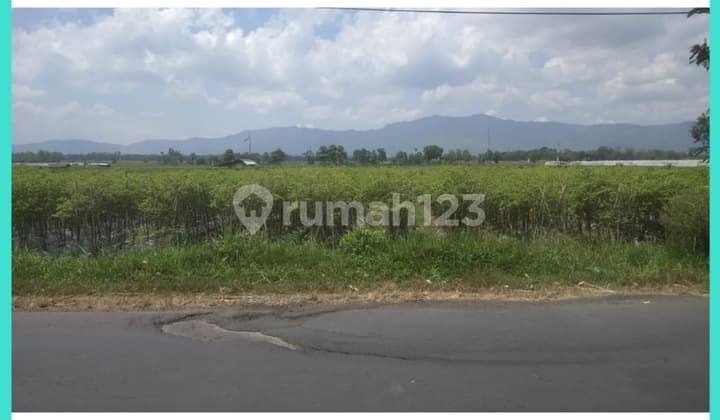 Dijual Tanah Luas Pinggir Jalan Desa Dekat Kota