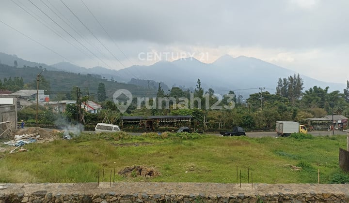 Tanah Kawasan Wisata Di Jl Raya Cibodas Cianjur Jawa Barat