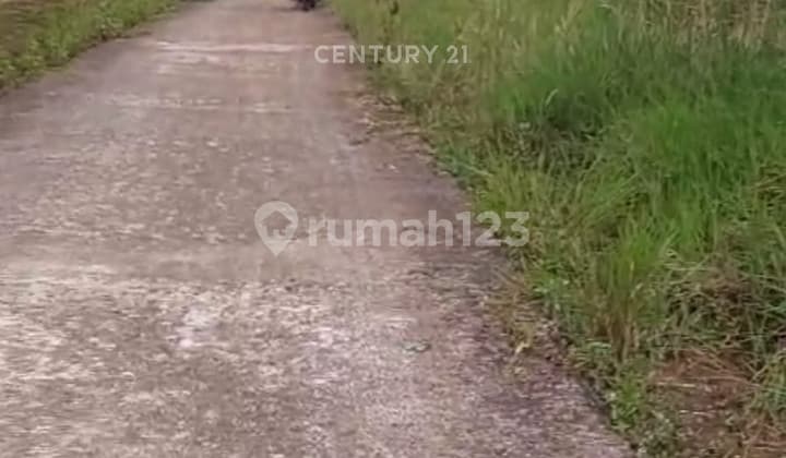 Tanah Cocok untuk Kebun di Desa Warnajati Cibadak Sukabumi