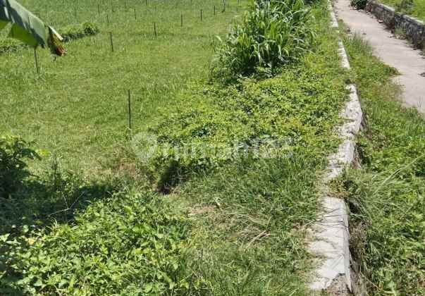 BIG SALE Dijual / di Sewakan Tanah SHM For Sale / For Rent