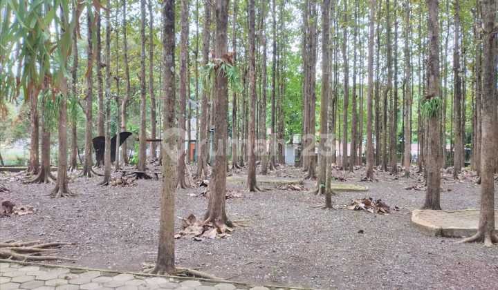 Tanah untuk Obyek Wisata dan Resto, Krakal, Kenumen, Jateng.