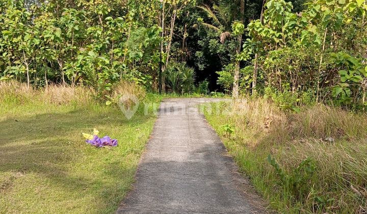 Jual Tanah SHM 2432M2, Cocok untuk Perumahan, Bangunjiwo, Jogja.