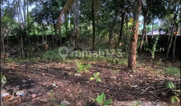 Tanah Bagus Dekat Rsia dan Gor Siyono, Playen, Wonosari, Jogja.