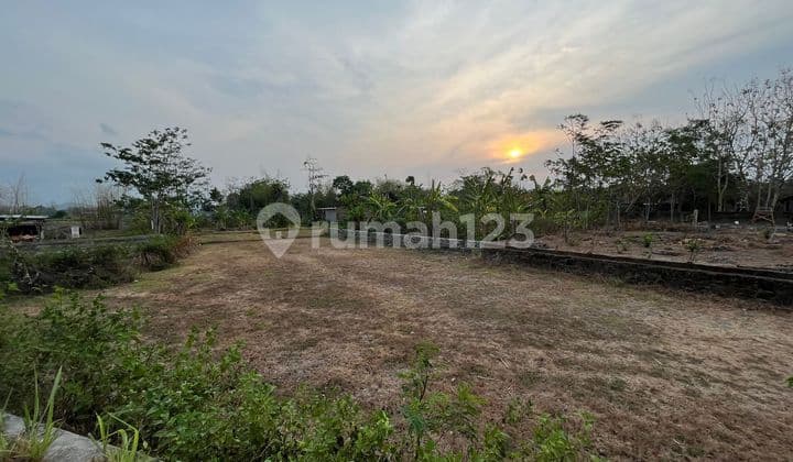 Dijual Tanah Pekarangan View Sawah, Wirokerten, Banguntapan, Diy