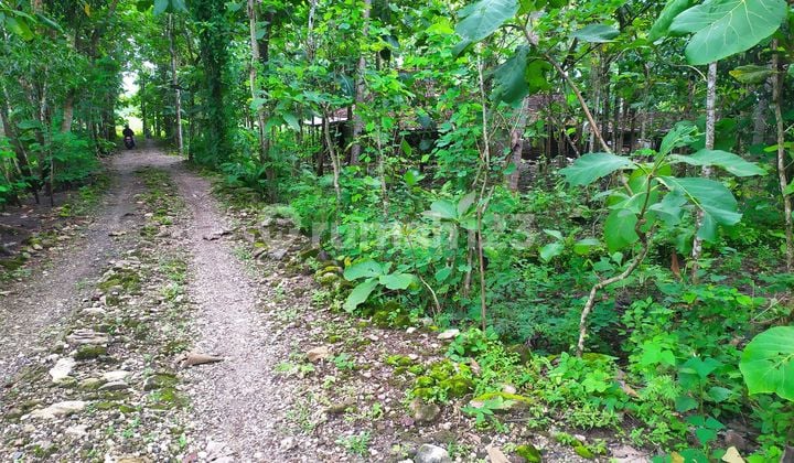 For Sale/Rent Land for Hotel on Jl. Baron, Mulo, Wonosari, Yogyakarta