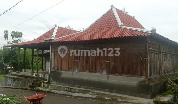 Rumah Dekat Pemkab Wonosari, Lingkungan Asri, Piyaman, Wonosar, Diy.