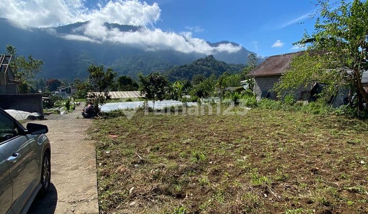 Dijual Tanah 3.05 Are Dekat Danau Buyan Pk