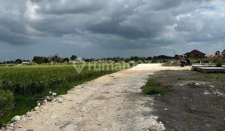 Dijual Tanah Murah Daerah Babakan Canggu