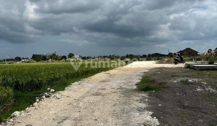 Cheap land for sale in Babakan Canggu District