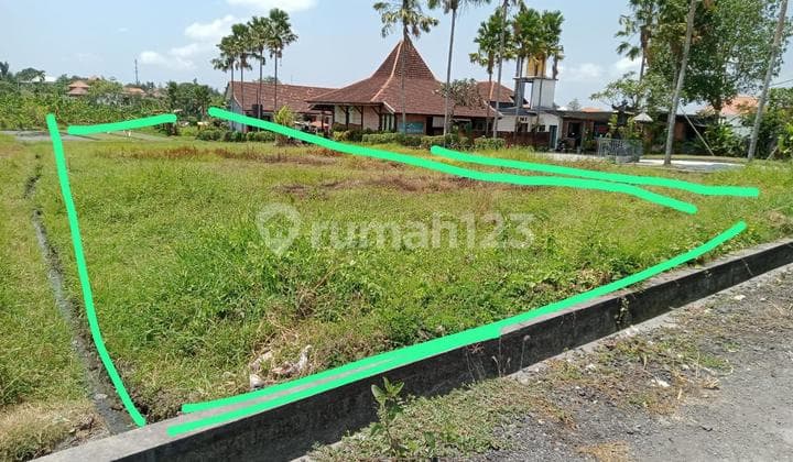 Di Sewakan Tanah 10 Are Di Semat Berawa Canngu
