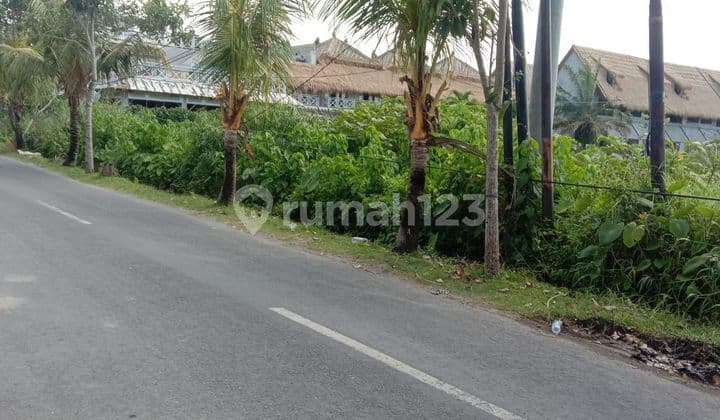 Disewakan Tanah 35.50 Are Di Jl Pantai Pererenan At