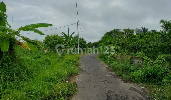 Dijual Tanah 500 M² Shm Di Gianyar Rc