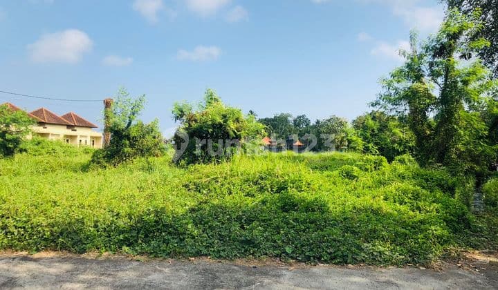 Dijual Tanah Kavling Ada 17 Unit Di Bongan Tabanan Dd