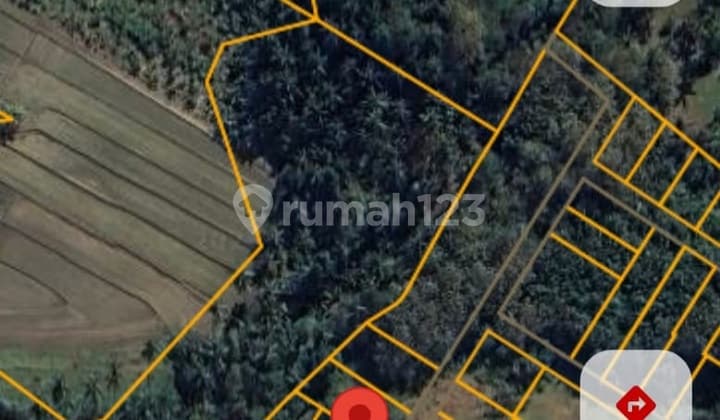 Murah Tanah 2.5 Are Posisi Hook di Selemadeg Tabanan Mnk