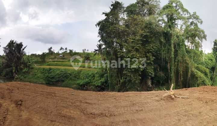 Dijual Tanah Kavling Ada 27 Blok Luas Mulai Dari 1 Are Di Gianyar Ri