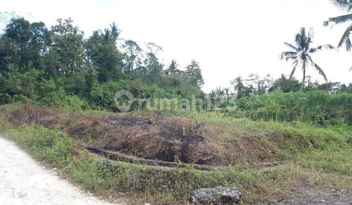 Dijual Tanah Kavling Siap Bangun Dekat Pusat Kota Tabanan Dd