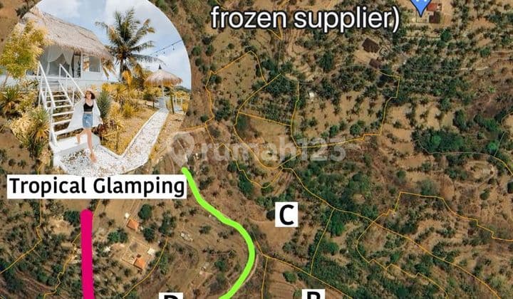 Dijual Tanah 263 Are Los Tebing Di Nusa Penida Pk