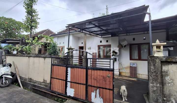 Murah Rumah Lantai 1 Di Mengwi Dd