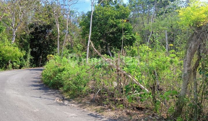Disewakan Tanah 5 Are View Laut Pecatu BI