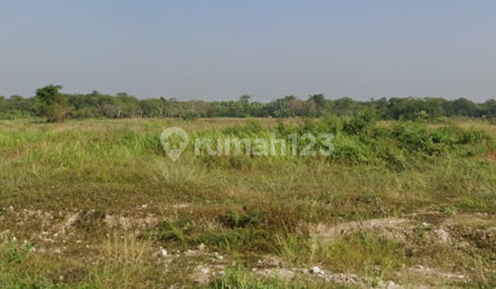 Tanah Serang Ciruas 4km Exit Tol Ciujung