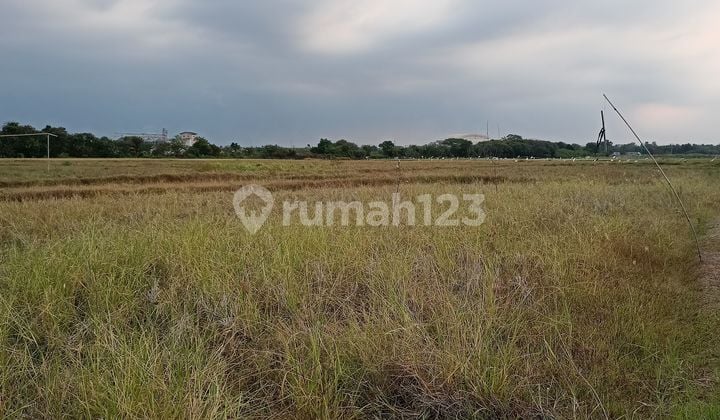 Tanah Ciruas Zona Industri Di Serang