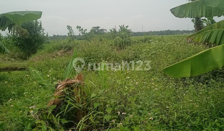 Tanah Cikande Serang