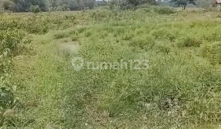 Cikande Land, Serang Regency