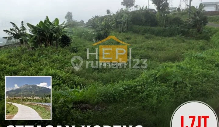 Dijual Tanah STRATEGIS di Getasan Kopeng SHM Dijual Tanah STRATEGIS di Getasan Kopeng SHM