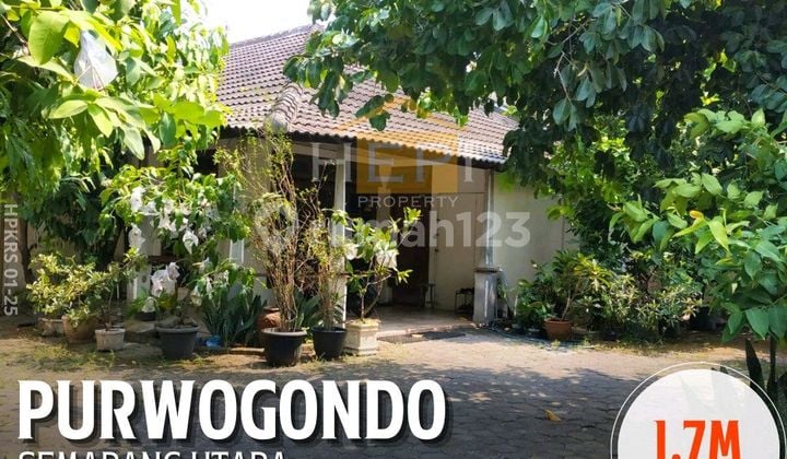 Rumah Siap Huni Di Purwogondo Semarang Utara
