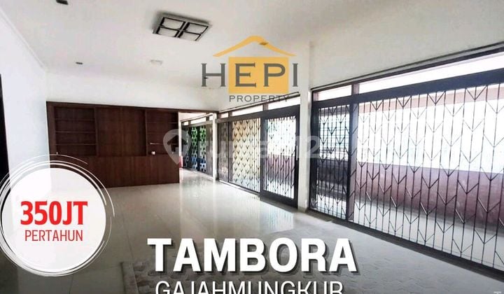 Rumah Bagus Di Tambora Gajah Mungkur Semarang Rumah Bagus Di Tambora Gajah Mungkur Semarang