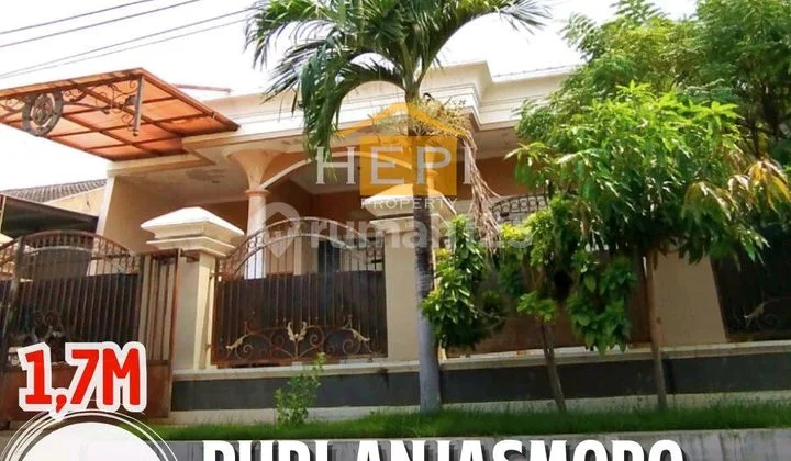 Rumah Strategis Di Puri Anjasmoro Semarang Shm Rumah Strategis Di Puri Anjasmoro Semarang Shm