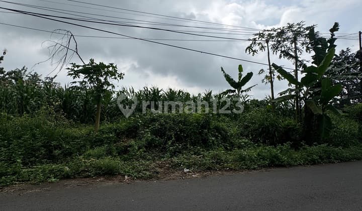 Tanah Murah di Polaman Mijen Semarang Pinggir Jalan