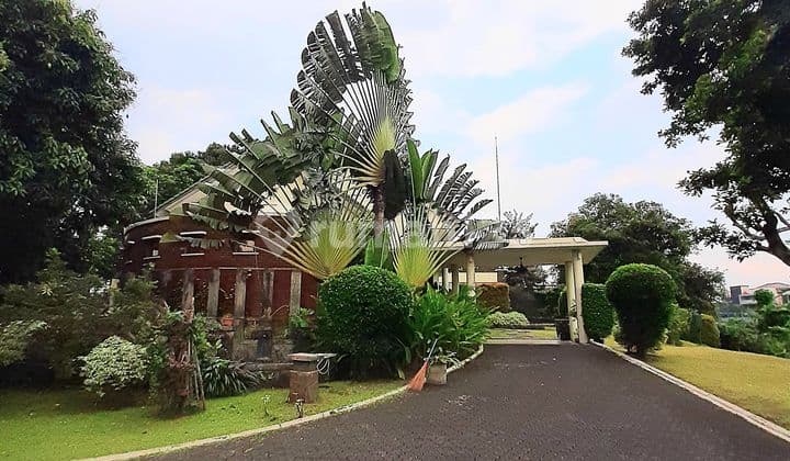 Rumah Mewah Lawyer Terkenal Adnan Buyung Nasution Tanah Luas