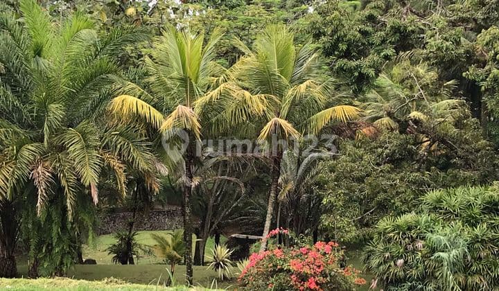 Jual Tanah Komersial Bekas Hotel di Puncak Bogor