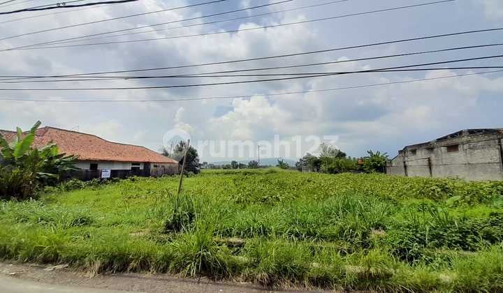 Tanah Kavling Murah, Harga Njop di Ciluar, Bogor Utara Dekat Sentul Cocok Dibangun Cluster Perumahan, View Gunung