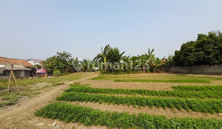 Tanah Luas di Babelan Raya Bebas Banjir Zonasi Campuran Cocok Dibangun Untuk Resto, Kantor, Gudang, Workshop Maupun Cluster